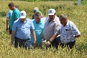 9 июня 2016 года в Тбилисском районе состоялся смотр культуры земледелия