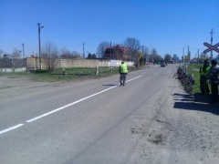 Благоустройство станицы Тбилисской продолжается 