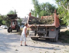 В Тбилисском поселении продолжают наводить порядок