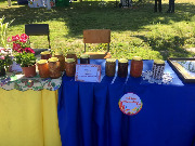 Прошел замечательный праздник мира, весны и труда