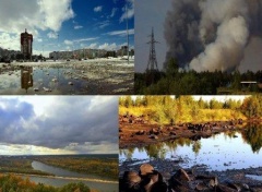 «Законодательно закреплен порядок предоставления информации о состоянии окружающей среды (экологической информации)»