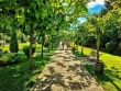 Два парка благоустроят в этом году в Тбилисском районе