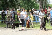 20 мая 2018 года в тбилисском парке культуры и отдыха им. Семикина И.Е. состоялась 57-ая выставка Краснодарская краевая выставка собак охотничьих пород