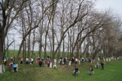 Более 15 километров лесополос очистили от мусора во время субботников в Тбилисском районе