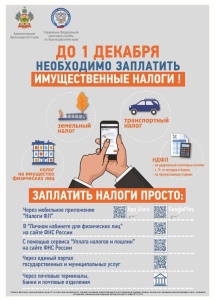 Имущественные налоги за 2024 год нужно оплатить до 1 декабря