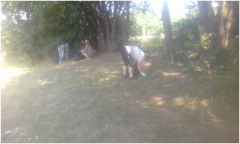 В Ловлинской возле реки провели субботник