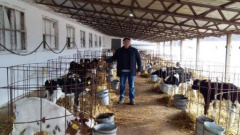 В Тбилисском районе продолжается смотр работы животноводческих ферм в зимних условиях