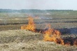 Уважаемые тбилисцы, не наносите вред природе!