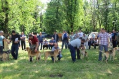 Уважаемые жители и гости Тбилисского района!