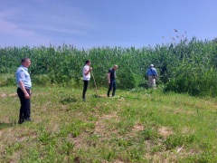 На территории Нововладимировского сельского поселения Тбилисского района продолжаются еженедельные мероприятия по выявлению произрастания наркосодержащей растительности и принятии мер по уничтожению ее очагов