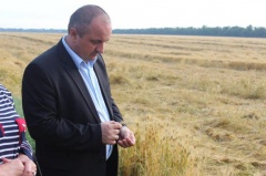 Смотр культуры земледелия провели в Тбилисском районе