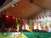 Тб­илисцы отмечают День ­района и День урожая.