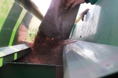 В Тбилисском районе идет сев озимых культур под урожай 2022 года