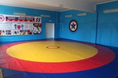 В Тбилисском районе ещё четыре школы присоединились к проекту «Самбо в школу»