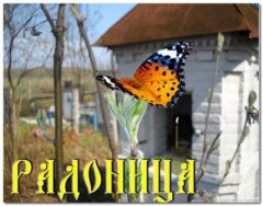 На Кубани 17 апреля объявлен нерабочим днем