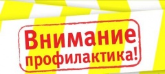 Работа Советов профилактики на местах