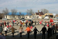 В Тбилисском районе прошел флеш-моб «Мы вместе!»