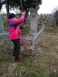 На кладбище хутора Марьинского прошел субботник