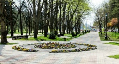 За первые сутки в голосовании по благоустройству на Кубани приняли участие почти 60 тысяч человек