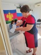 Выборы главы Нововладимировского сельского поселения