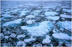 Неокрепший лед на водоемах грозит бедой