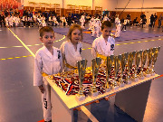 Спортивная школа «Авангард» совместно с детско-юношеской общественной организацией Федерация тхэквондо Тбилисского района провели Открытое первенство по тхэквондо на Кубок главы муниципального образования Тбилисский район. 