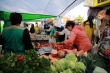 В Краснодарском крае прекращается деятельность рынков и ярмарок
