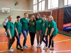 В Тбилисском поселении проходит спартакиада трудящихся