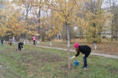 В Тбилисском районе прошел массовый субботник
