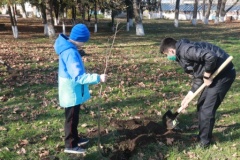 Более 200 саженцев деревьев высадили в Тбилисском районе
