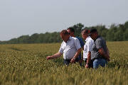 В ОАО «Кропоткинское» оценили культуры земледелия