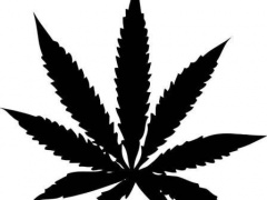 В Тбилисском поселении состоялось рейдовое мероприятие по уничтожению наркосодержащей растительности