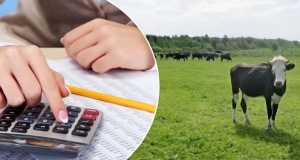 ОБЪЯВЛЕНИЕ!