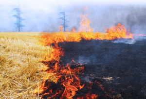 Энергетики напоминают жителям и гостям Кубани о необходимости соблюдения правил пожарной безопасности в охранных зонах воздушных ЛЭП