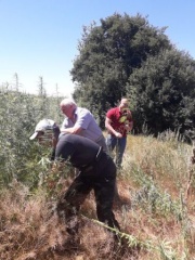 В Ловлинском сельском поселении продолжает свою работу комиссия по мониторингу наркосодержащей растительности