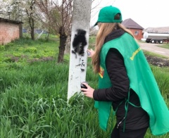 Уважаемые жители и гости Тбилисского района!