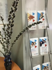 Профессиональный мир женщин. Об итогах проведения ярмарки вакансий