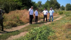 Проведен рейд по выявлению очагов произрастания дикорастущей конопли