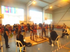 Тбилисские спортсмены установили новые рекорды