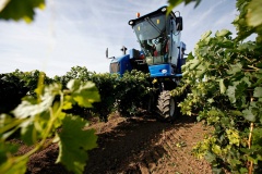 Господдержка агропромышленного комплекса Кубани в 2021 году составила 10,6 млрд рублей