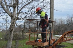 Усть-Лабинские электросети дополнительно расчистили 23 га трасс ЛЭП