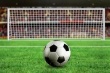 В Краснодаре состоится футбольный матч между сборными России и Португалии