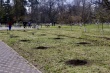 В парке имени И.Е. Семыкина появилась новая аллея из 30 саженцев лип, высаженных в рамках экологической акции «Сад памяти»