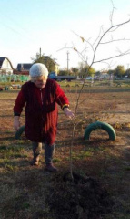 В Тбилисской стало на одну аллею больше