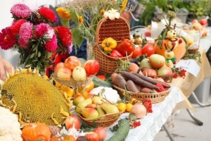 "Горячая линия" по вопросам организации сельскохозяйственной ярмарки