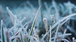 Экстренное предупреждение