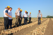 7 июня 2019 года в Тбилисском районе состоялся смотр культуры земледелия