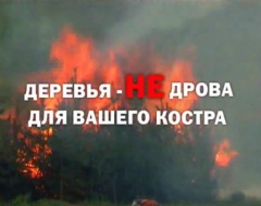 Отделение надзорной деятельности и профилактической работы  напоминает о правилах поведения в лесном массиве в пожароопасный период