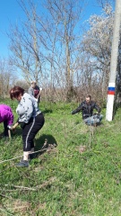 Жители произвели вырубку порослей