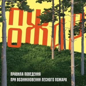 Чтобы избежать возникновения пожаров, необходимо соблюдать правила поведения в лесу